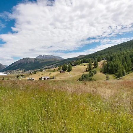 Borch Chalet